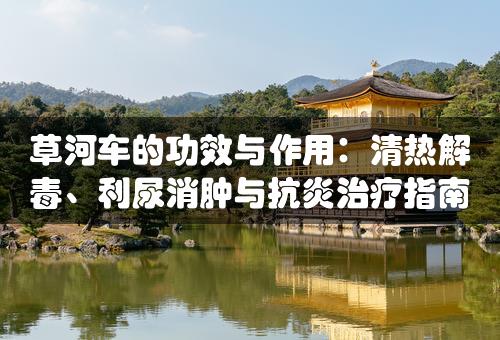 草河车的功效与作用：清热解毒、利尿消肿与抗炎治疗指南