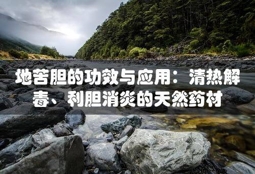 地苦胆的功效与应用：清热解毒、利胆消炎的天然药材