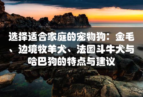 选择适合家庭的宠物狗：金毛、边境牧羊犬、法国斗牛犬与哈巴狗的特点与建议