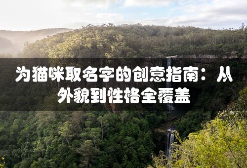 为猫咪取名字的创意指南：从外貌到性格全覆盖