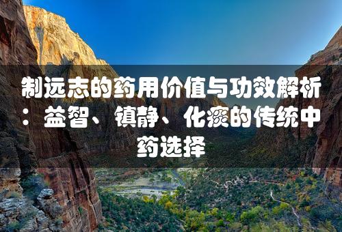 制远志的药用价值与功效解析：益智、镇静、化痰的传统中药选择