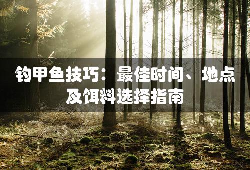 钓甲鱼技巧：最佳时间、地点及饵料选择指南