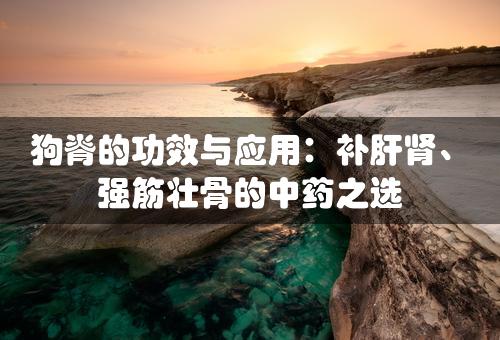 狗脊的功效与应用：补肝肾、强筋壮骨的中药之选