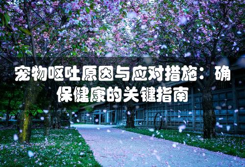 宠物呕吐原因与应对措施：确保健康的关键指南