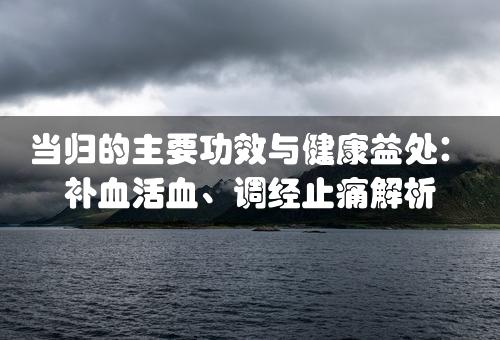 当归的主要功效与健康益处：补血活血、调经止痛解析