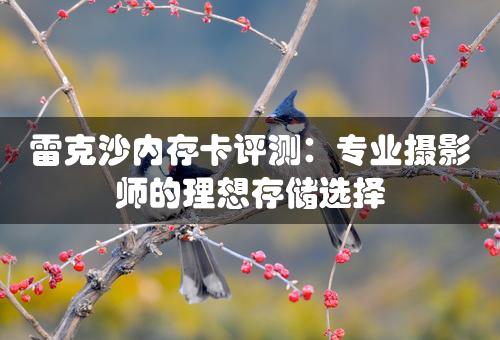 雷克沙内存卡评测：专业摄影师的理想存储选择