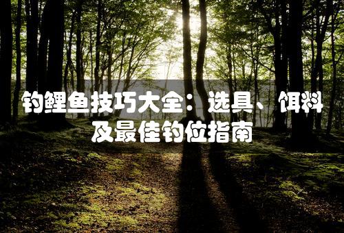 钓鲤鱼技巧大全：选具、饵料及最佳钓位指南