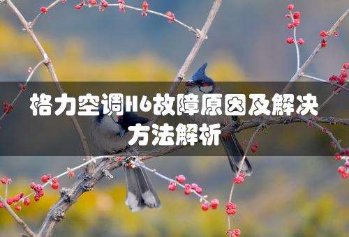 格力空调H6故障原因及解决方法解析