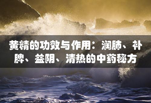 黄精的功效与作用：润肺、补脾、益阴、清热的中药秘方