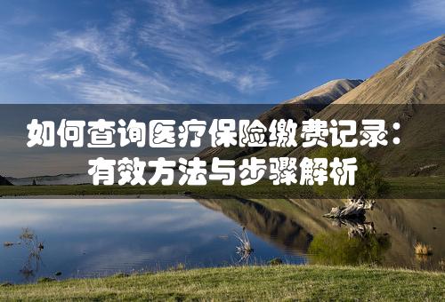 如何查询医疗保险缴费记录：有效方法与步骤解析