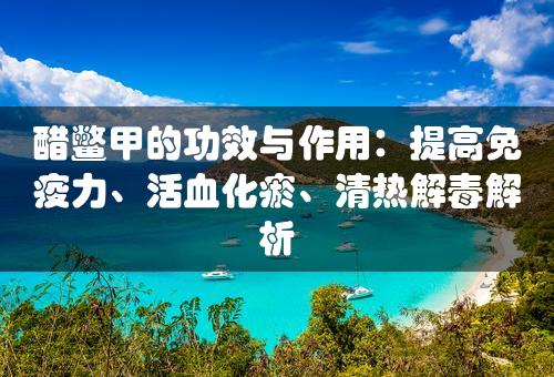 醋鳖甲的功效与作用：提高免疫力、活血化瘀、清热解毒解析