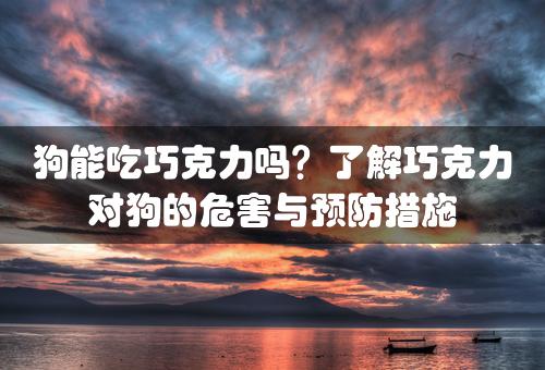 狗能吃巧克力吗？了解巧克力对狗的危害与预防措施