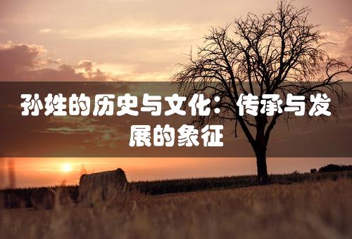 孙姓的历史与文化：传承与发展的象征