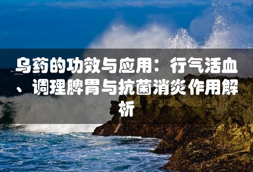 乌药的功效与应用：行气活血、调理脾胃与抗菌消炎作用解析