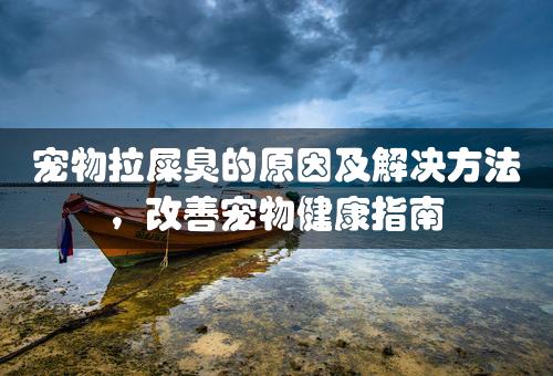 宠物拉屎臭的原因及解决方法，改善宠物健康指南