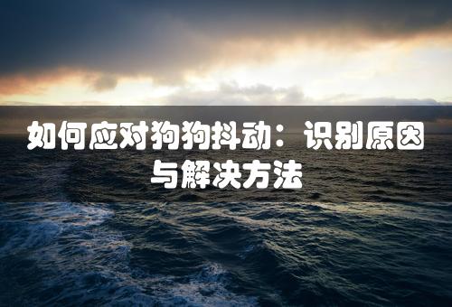 如何应对狗狗抖动：识别原因与解决方法