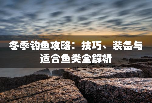 冬季钓鱼攻略：技巧、装备与适合鱼类全解析