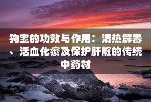 狗宝的功效与作用：清热解毒、活血化瘀及保护肝脏的传统中药材