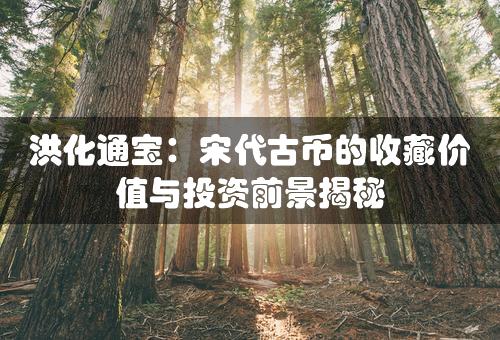 洪化通宝：宋代古币的收藏价值与投资前景揭秘